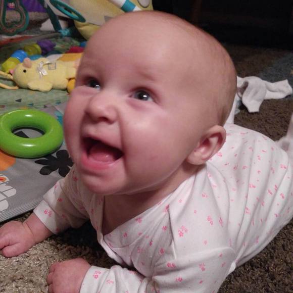 Meet your Posher, Dylan - Picture 1 of 1